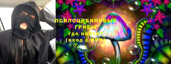 а пвп мука Алзамай