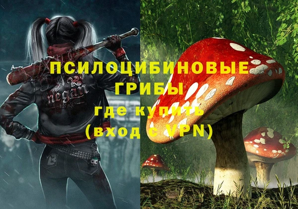 бутират Алексеевка