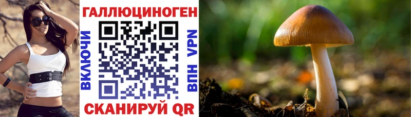 как найти закладки  Асино  Псилоцибиновые грибы Magic Shrooms 