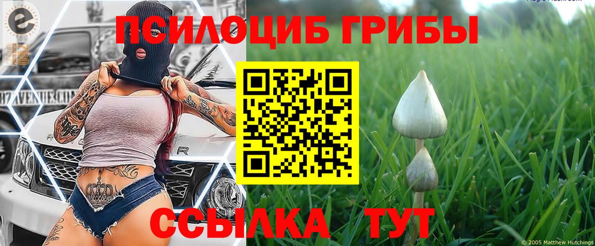 Галлюциногенные грибы мицелий  Вход с VPN  Асино 