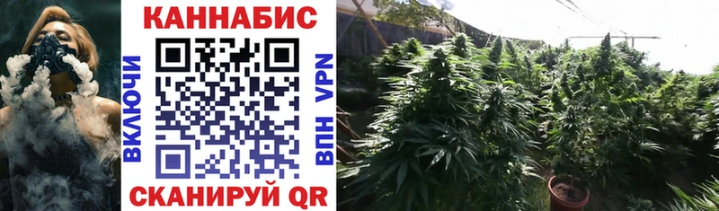 МАРИХУАНА THC 21%  сколько стоит  kraken вход  Асино 